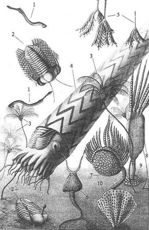 Андрей Журавлёв - До и после динозавров