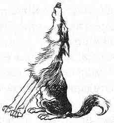 Кэтрин Кейв - Вильям и волки