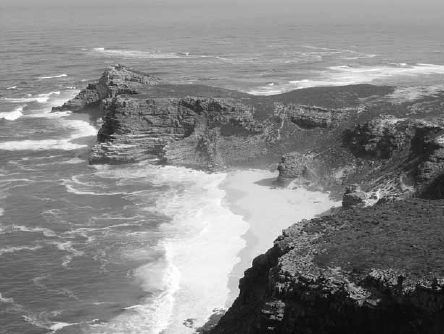 Викентий Преображенский - Удивительная океанология