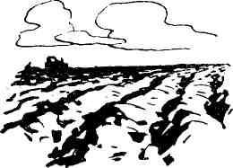 Аркадий Первенцев - Матросы