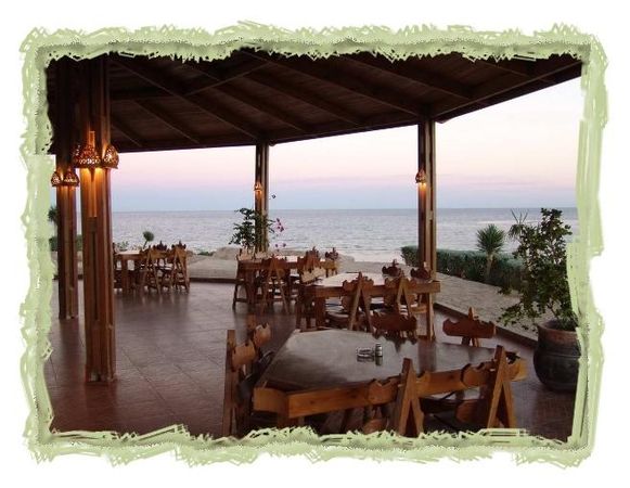 Дина Бакулина - Зачем живут патиссоны?