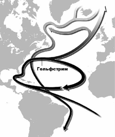 Викентий Преображенский - Удивительная океанология