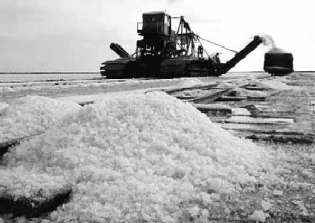 Викентий Преображенский - Удивительная океанология