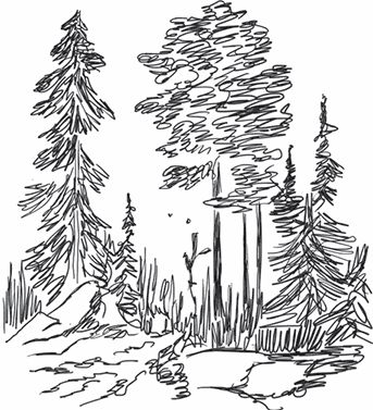 Сергей Максимов - Тайга (сборник)