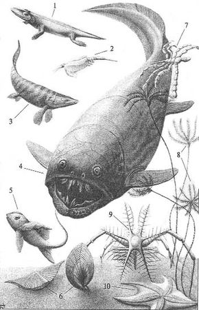 Андрей Журавлёв - До и после динозавров