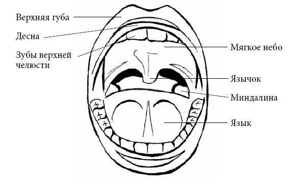 Андрей Яловчук - Если ваш ребенок заболел. Что должны знать и уметь родители