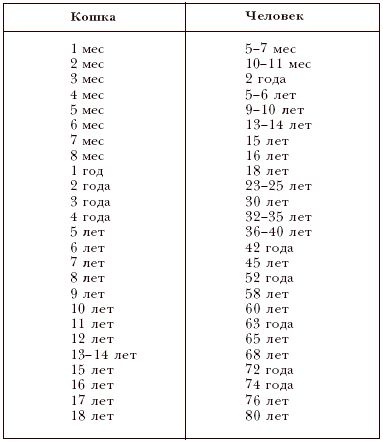 Екатерина Константинова - Домашние кошки