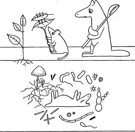 Юлия Касаткина - Я познаю мир. Ботаника