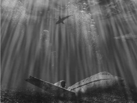 Викентий Преображенский - Удивительная океанология