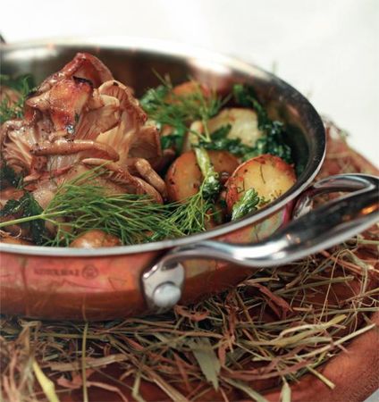 Коллектив авторов - Готовим грибы