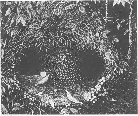 Вилейанур Рамачандран - Мозг рассказывает. Что делает нас людьми