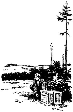 Владимир Немцов - Альтаир (Сборник)