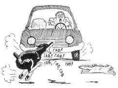 Джек Вулхард, Мелисса Бартлетт - Что должны знать все хорошие собаки....