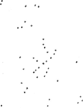 Владимир Жикаренцев - Русь открывает себя