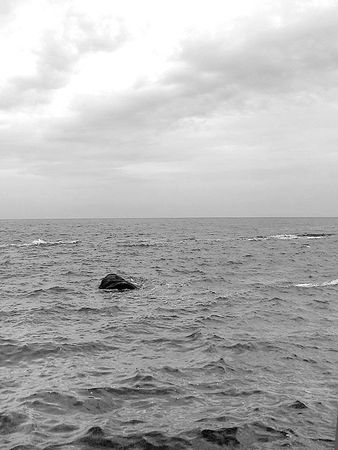 Ирина Малышко - Война маленького человека