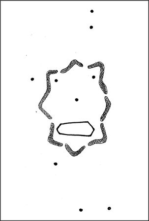 Владимир Жикаренцев - Русь открывает себя