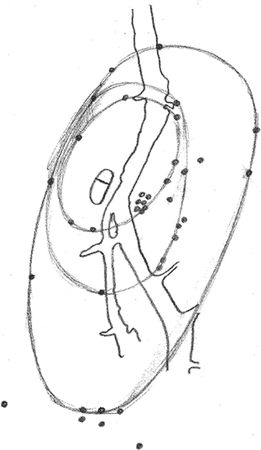 Владимир Жикаренцев - Русь открывает себя