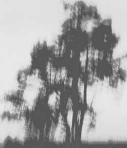 Татьяна Козырева - Девушка на обочине