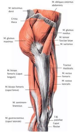 Дмитрий Киселев - Кинезиотейпинг в лечебной практике неврологии и ортопедии
