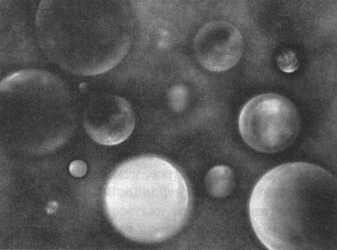 Брайан Грин - Скрытая реальность. Параллельные миры и глубинные законы космоса