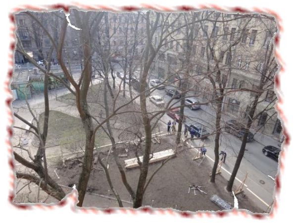 Дина Бакулина - Зачем живут патиссоны?