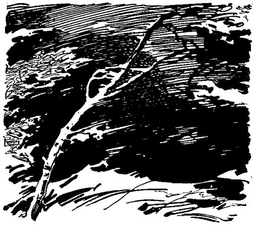 Вера Морозова - Дом на Монетной