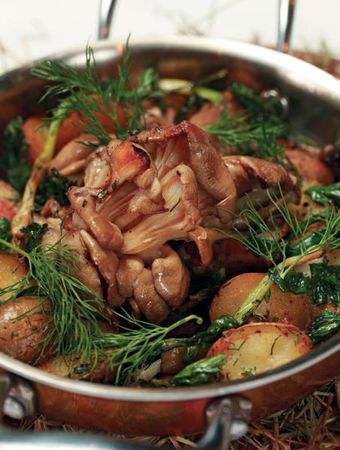 Коллектив авторов - Готовим грибы