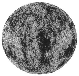 Брайан Грин - Скрытая реальность. Параллельные миры и глубинные законы космоса