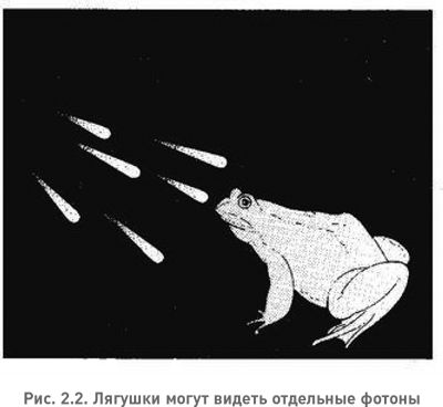 Дэвид Дойч - Структура реальности