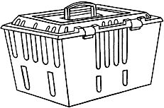 Екатерина Константинова - Домашние кошки