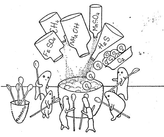 Юлия Касаткина - Я познаю мир. Ботаника