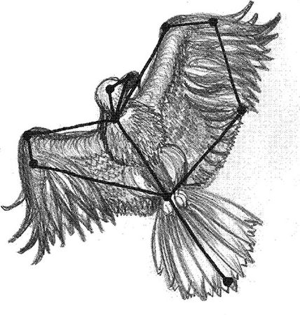 Владимир Жикаренцев - Русь открывает себя