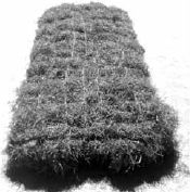 Викентий Преображенский - Удивительная океанология