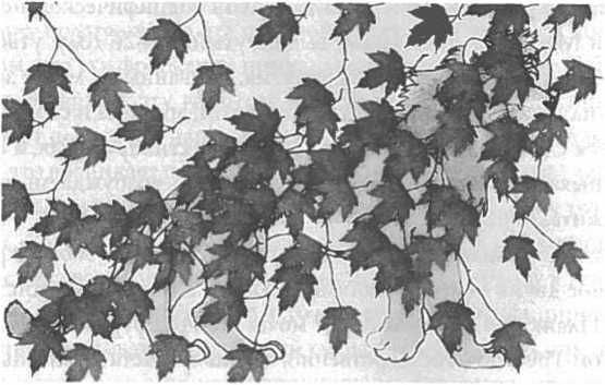 Вилейанур Рамачандран - Мозг рассказывает. Что делает нас людьми