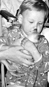 Екатерина Константинова - Домашние кошки