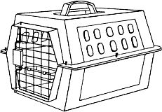 Екатерина Константинова - Домашние кошки