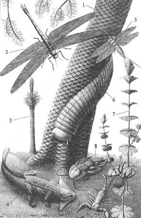 Андрей Журавлёв - До и после динозавров