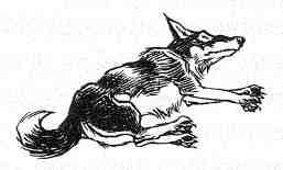 Кэтрин Кейв - Вильям и волки