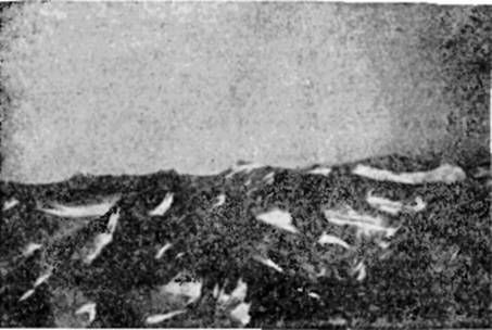 СЕРГЕЙ ОБРУЧЕВ - НА САМОЛЕТЕ В ВОСТОЧНОЙ АРКТИКЕ