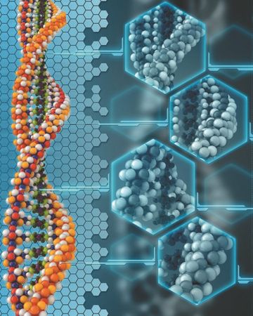 Анатолий Клёсов - Занимательная ДНК-генеалогия. Новая наука дает ответы