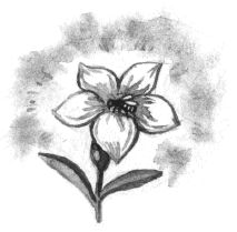 Владимир Одоевский - Городок в табакерке (сборник)