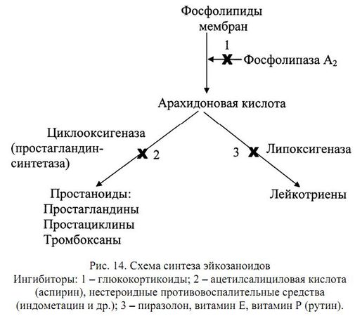 Алла Масловская - Биохимия гормонов