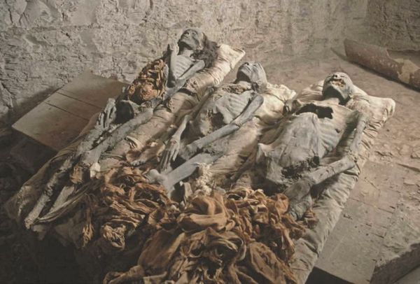 Анатолий Клёсов - Занимательная ДНК-генеалогия. Новая наука дает ответы