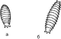 Календарь современного садовода. Защита...