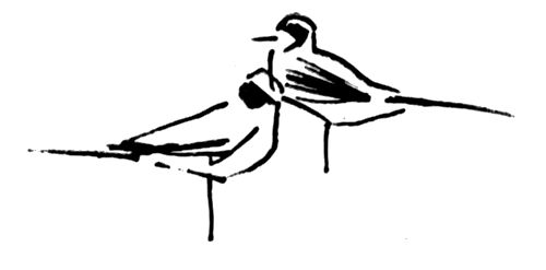 Вилис Лацис, Жан Грива и др. - Ладейная кукла