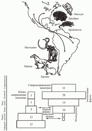 Кирилл Еськов - Удивительная палеонтология. История земли и жизни на ней