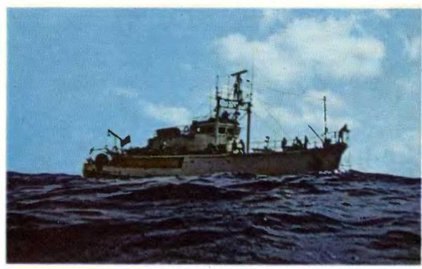 Жак-Ив Кусто, Филипп Кусто - Чтобы не было в море тайн