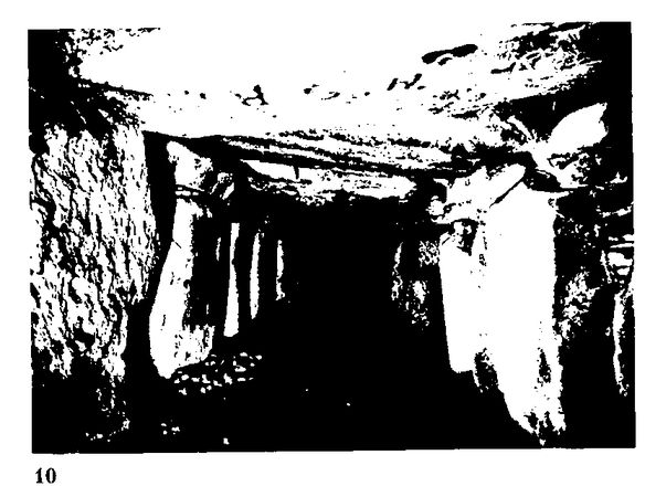 Хильда Дэвидсон - Древние скандинавы. Сыны северных богов