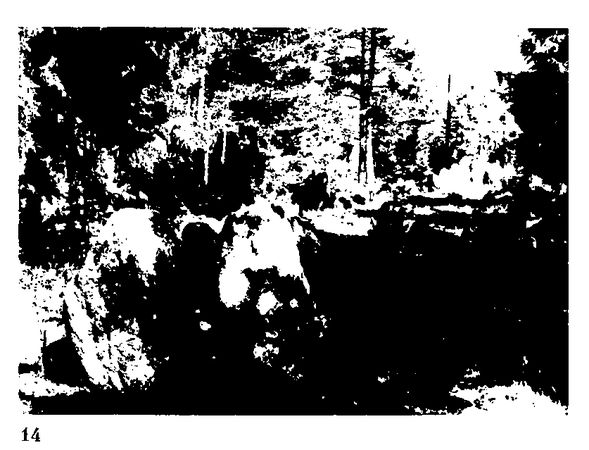 Хильда Дэвидсон - Древние скандинавы. Сыны северных богов