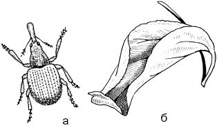 Светлана Ермакова - Календарь современного садовода. Защита сада и огорода от...